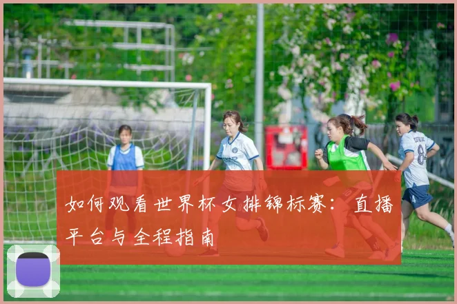 如何观看世界杯女排锦标赛：直播平台与全程指南