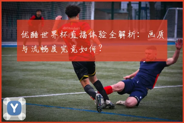 优酷世界杯直播体验全解析：画质与流畅度究竟如何？
