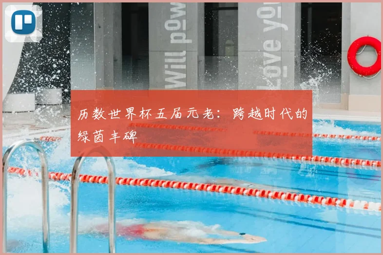 历数世界杯五届元老：跨越时代的绿茵丰碑